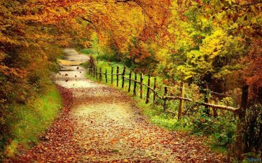 autumn_path-1280x800